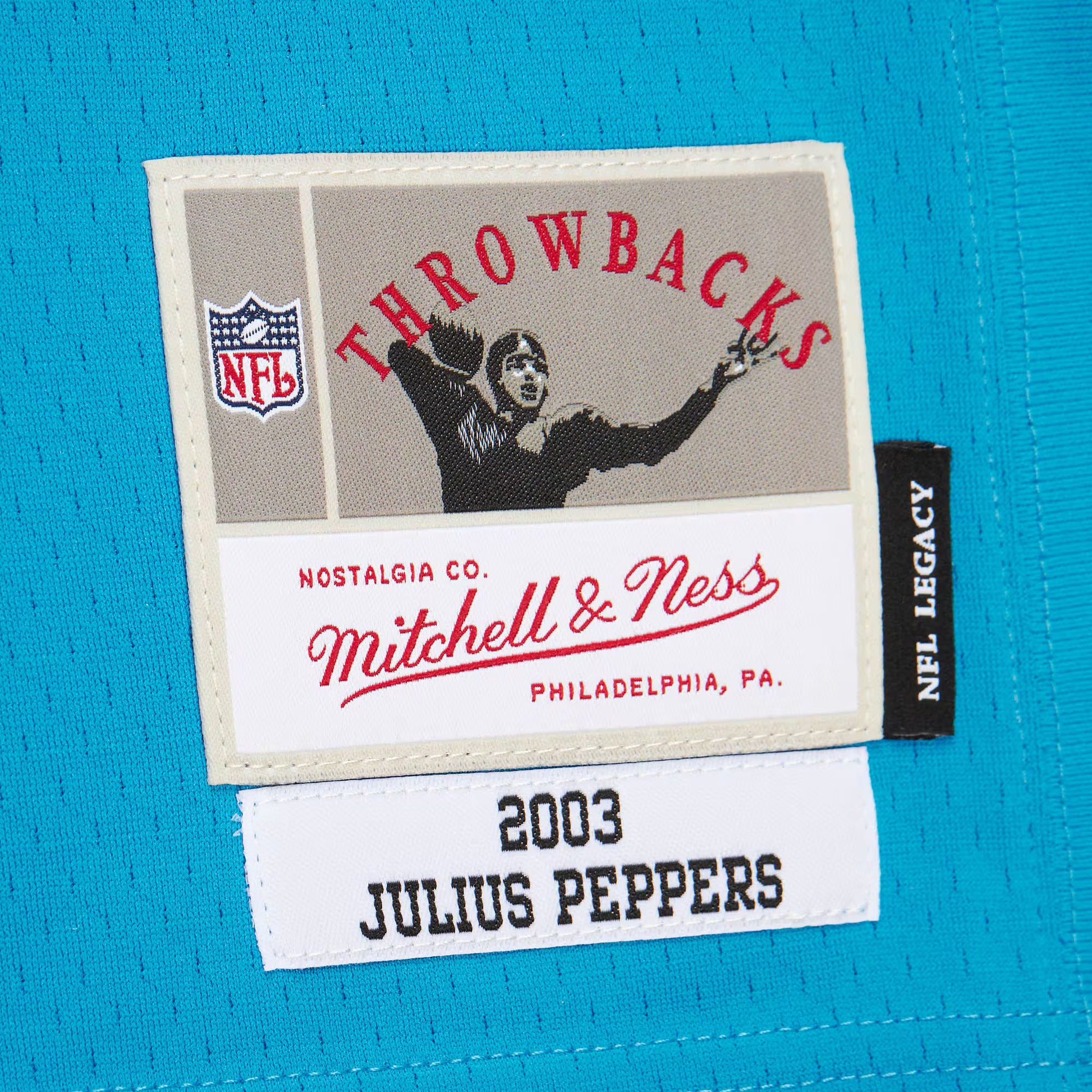 Julius Peppers Carolina Panthers Mitchell &amp; Ness  Legacy Replica Jersey&nbsp;– Blue