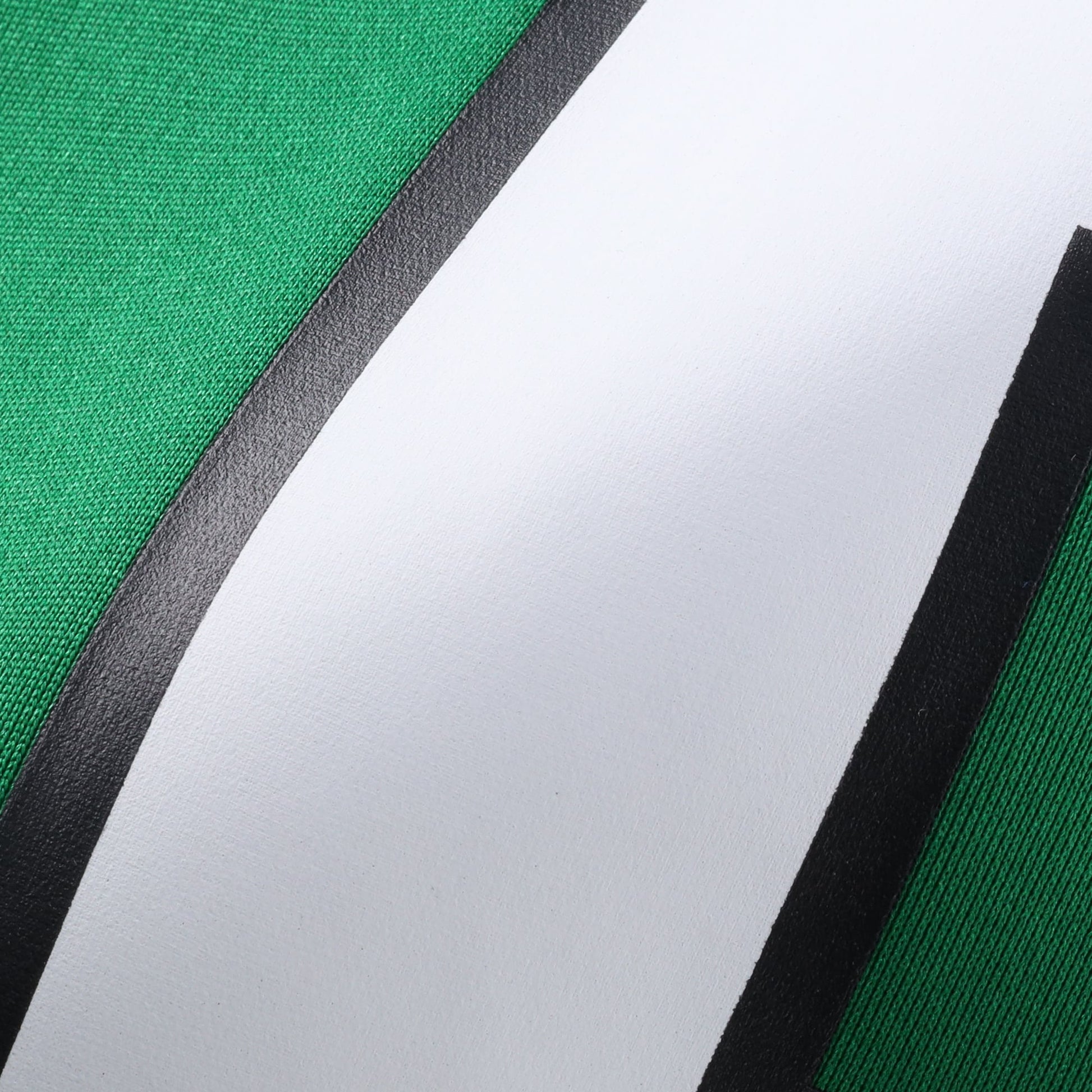 Randall Cunningham Philadelphia Eagles Nike Alternate Retired Player Game Jersey - Kelly Green