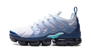 Vapormax Plus "blue" - 1